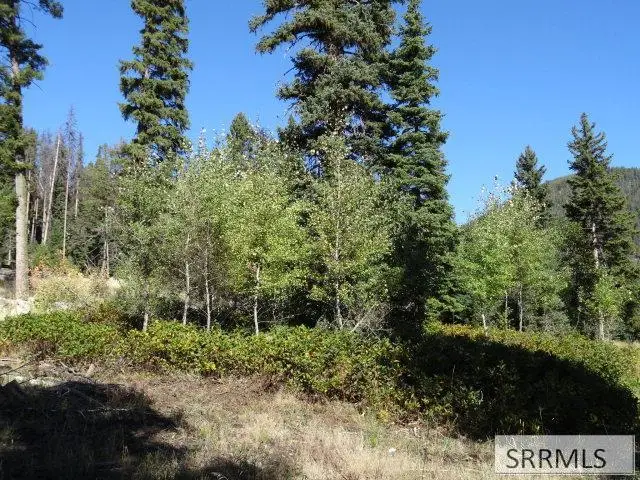 1B Kokopelli Drive, Gibbonsville, ID 83463 - #2