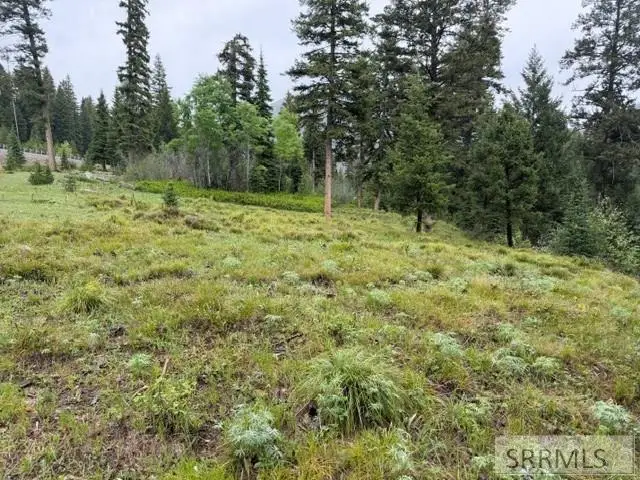 1B Kokopelli Drive, Gibbonsville, ID 83463 - #3