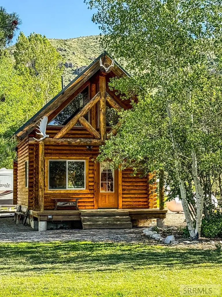 38 Rattlesnake Road, Irwin, ID 83428 - #1