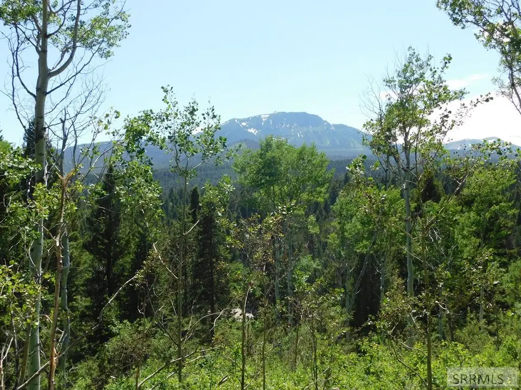 4907 Shadow Wood, Island Park, ID 83429 - #1