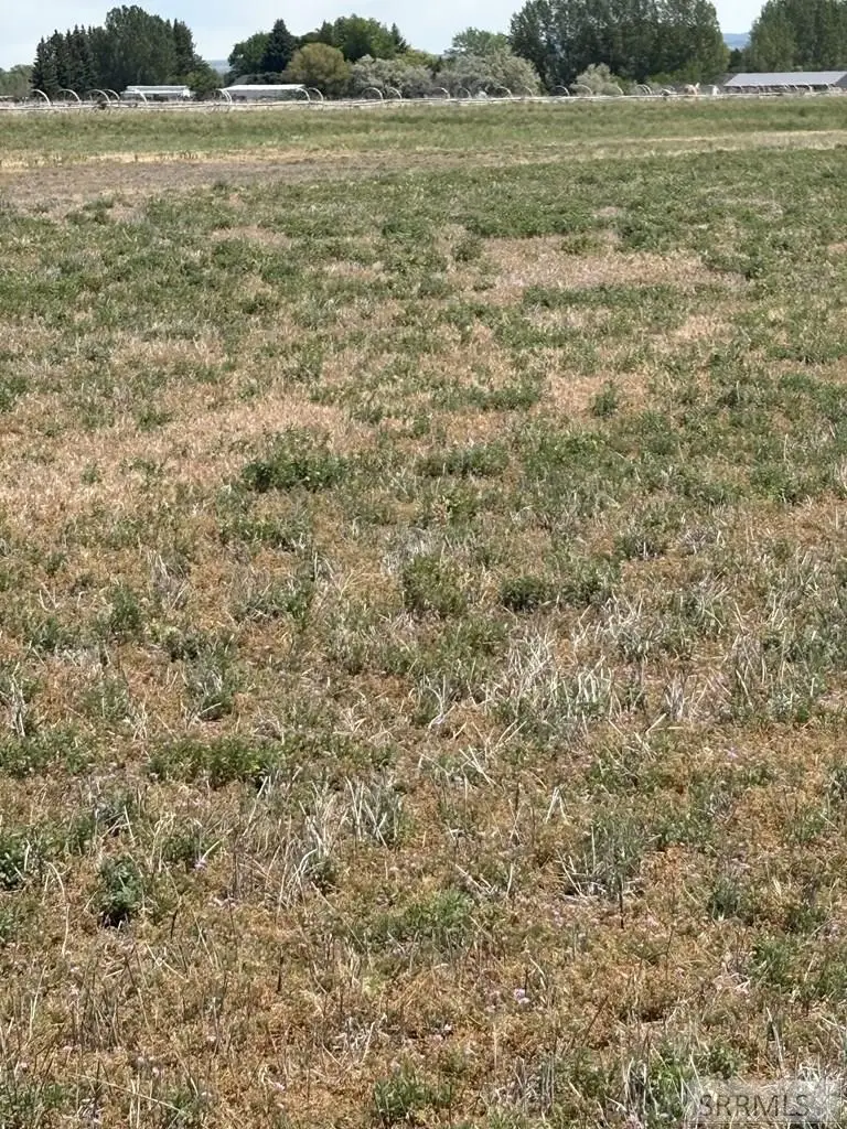 136 4139 E, Rigby, ID 83442 - #2
