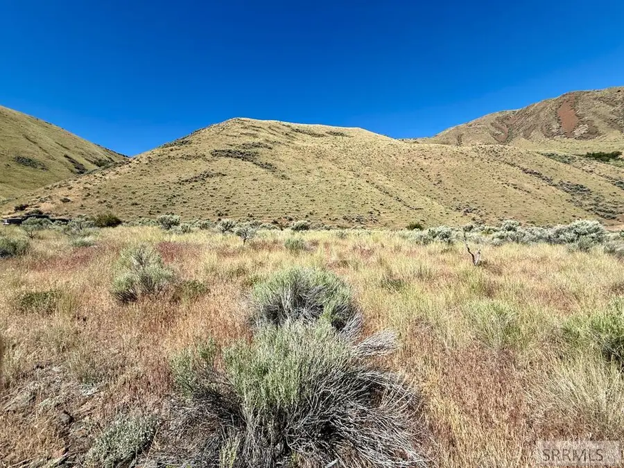 Lot 13-14 Old Stage Road, Salmon, ID 83467 - #3