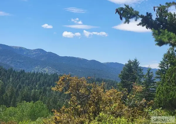 Lot24B3 Cutthroat Run, IRWIN, ID 83428