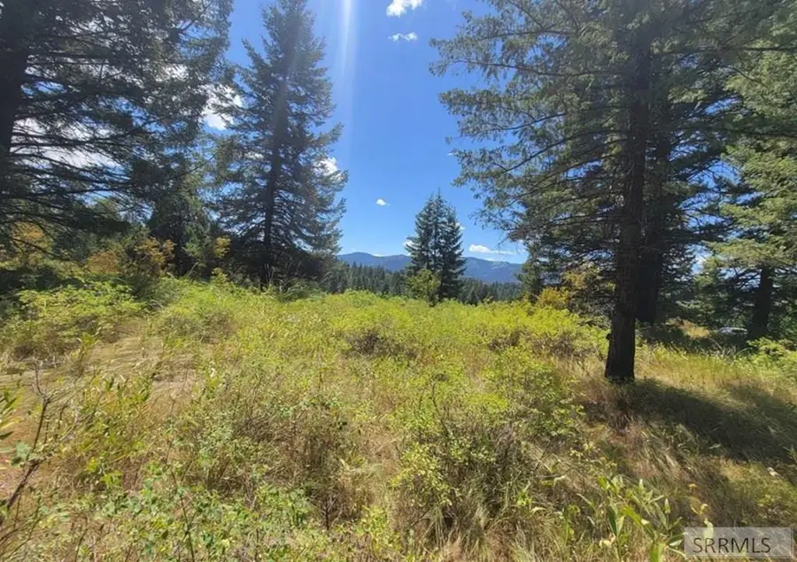 Lot24B3 Cutthroat Run, Irwin, ID 83428 - #3