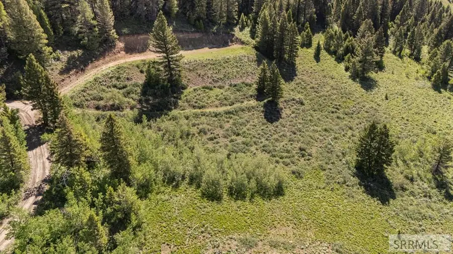 5130 Rees Drive, Island Park, ID 83429 - #3
