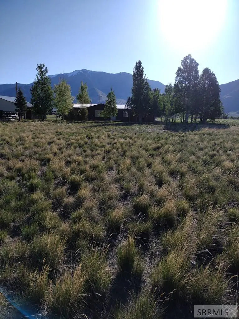 3195 3350 W, Moore, ID 83255 - #2