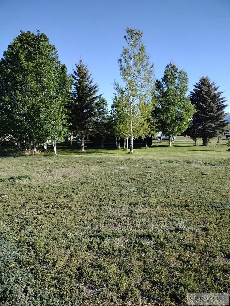 3195 3350 W, Moore, ID 83255 - #3