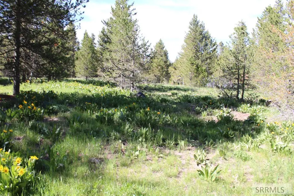 0000 Buffalo Dr, Island Park, ID 83429 - #1