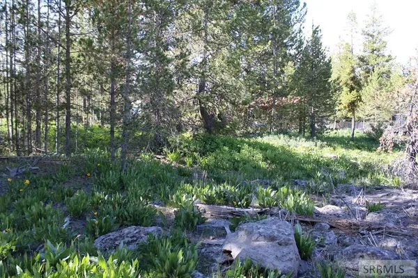 0001 Buffalo Lane, ISLAND PARK, ID 83429