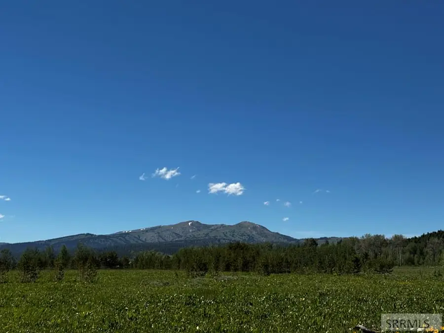 4117 Stage Coach Way, Island Park, ID 83429 - #3