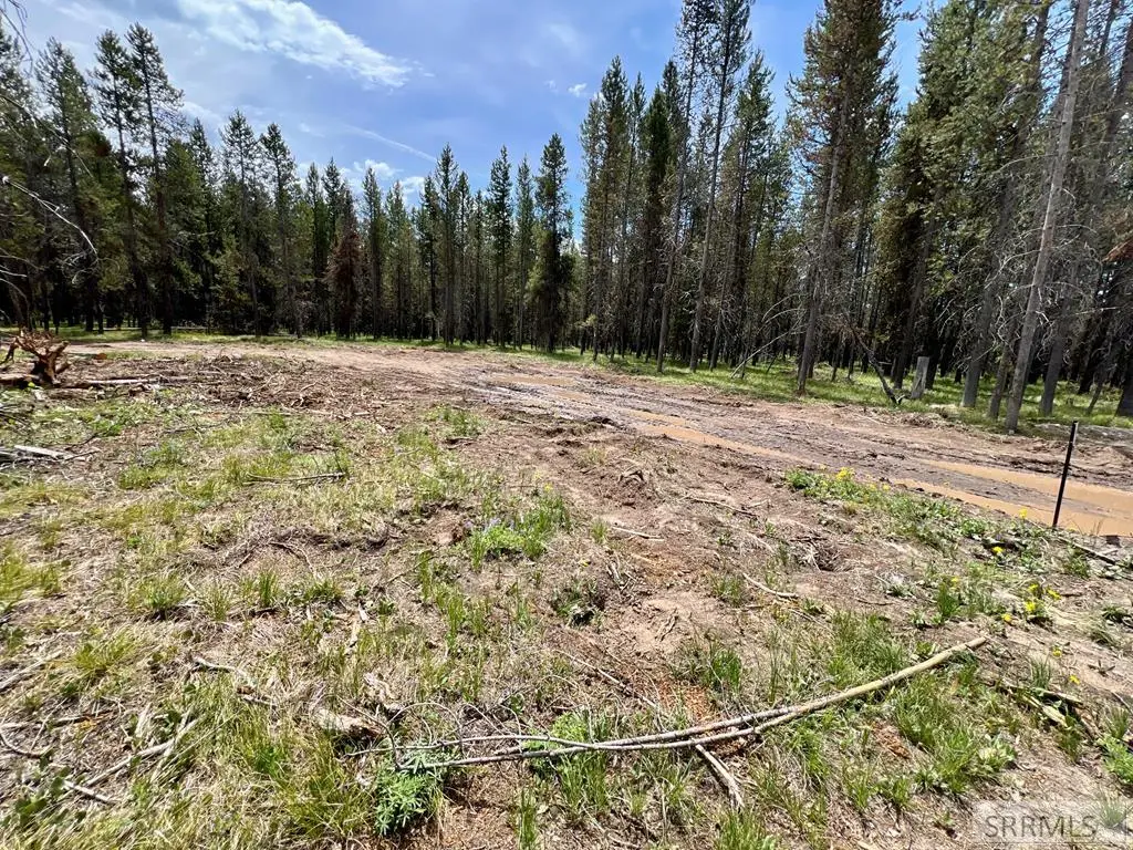 4360 Sasquatch Ave, Island Park, ID 83429 - #1