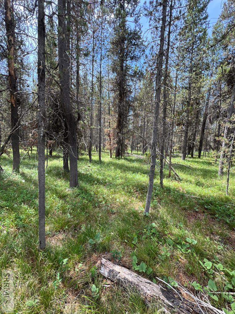 4360 Sasquatch Ave, Island Park, ID 83429 - #3