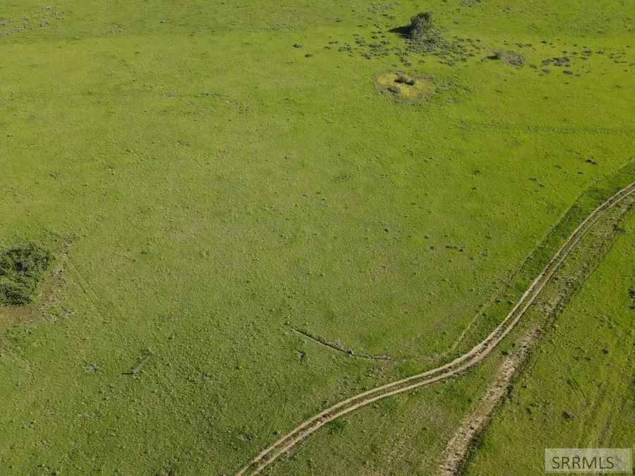 1550 Rim Loop Road, Ashton, ID 83420 - #3