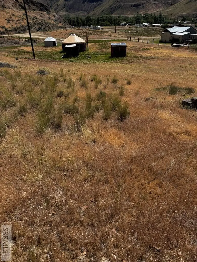 TBD Blue Ash Drive, Salmon, ID 83467 - #2