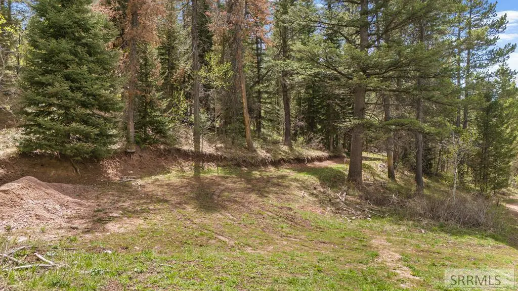 TBD Sellers Creek Road, Firth, ID 83236 - #1