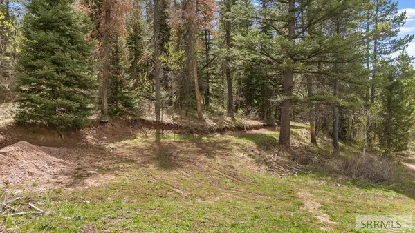 TBD Sellers Creek Road, FIRTH, ID 83236