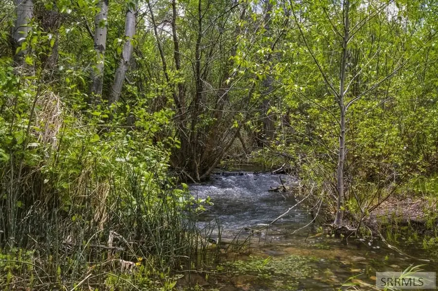 TBD Oliver Drive, Salmon, ID 83467 - #3