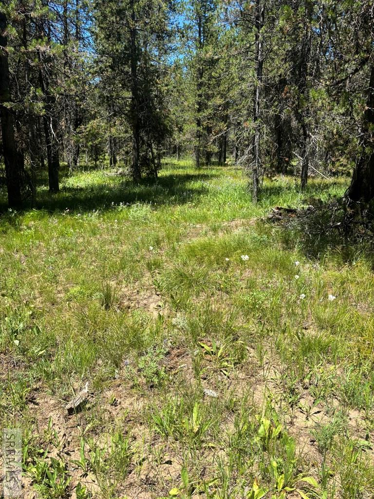 3821 Totem Road, Island Park, ID 83429 - #3