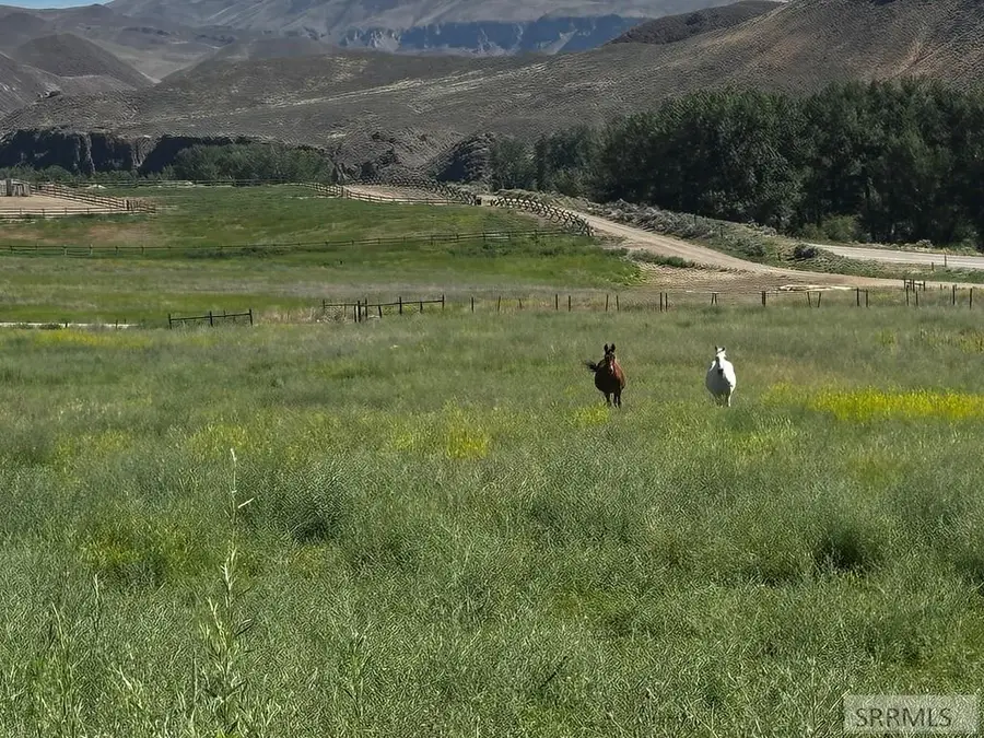 #5 Homestead Trail, Challis, ID 83226 - #3