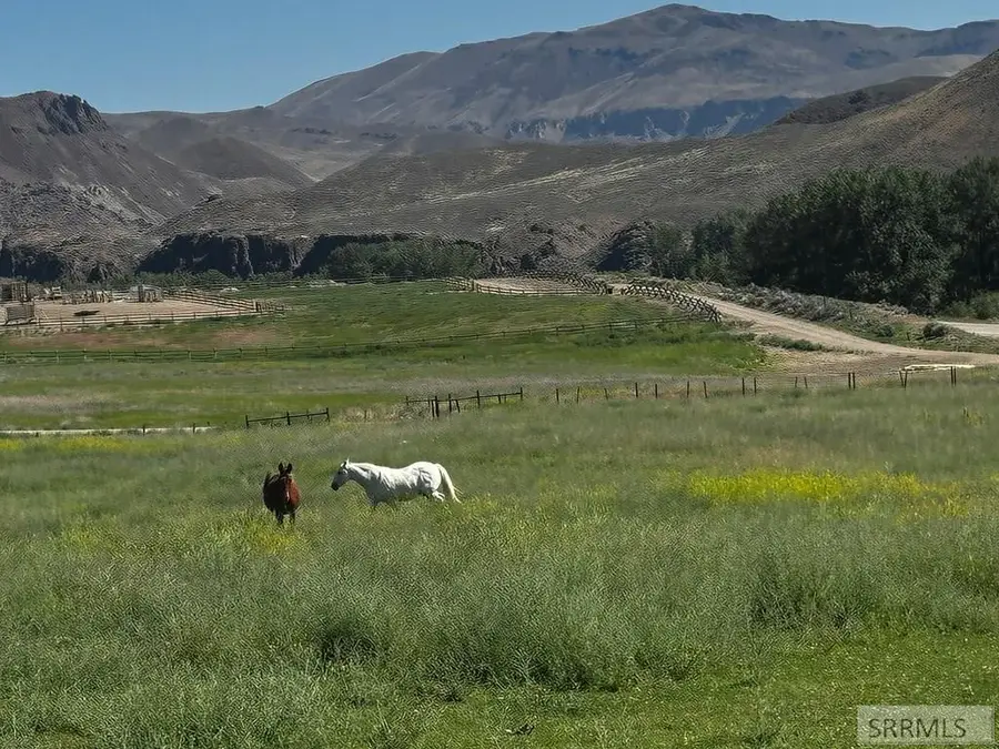 #6 Homestead Trail, Challis, ID 83226 - #2