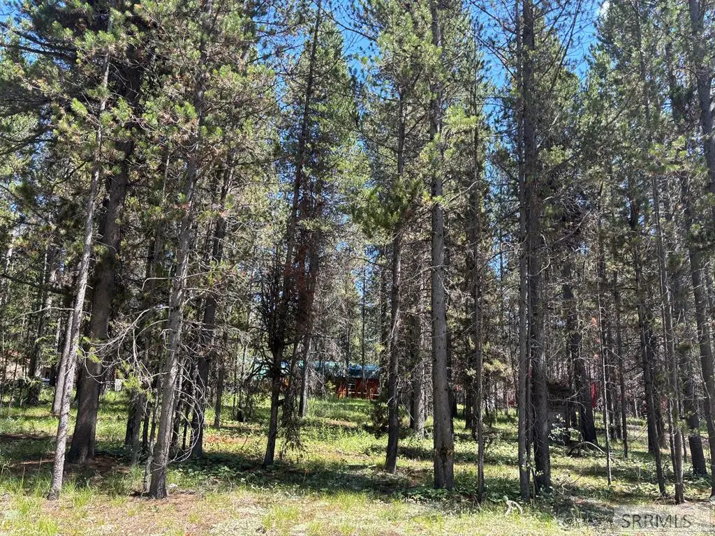 3884 F Street, Island Park, ID 83429 - #1