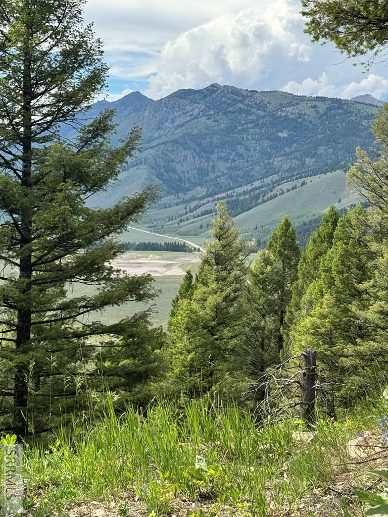 TBD Mountain Drive, Island Park, ID 83429 - #2