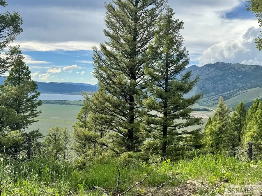 TBD Mountain Drive, Island Park, ID 83429 - #3