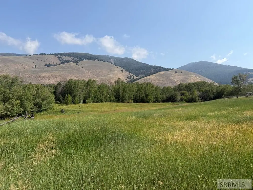 NKA Sandy Creek Road, Salmon, ID 83467 - #1
