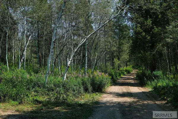12380 Woodland Hills Road, TETONIA, ID 83452