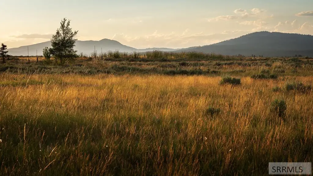 Lot 38 Eagles View Road, Island Park, ID 83429 - #1