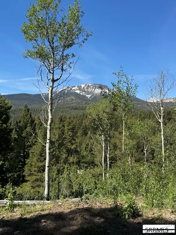 4911 Shadow Wood, ISLAND PARK, ID 83429