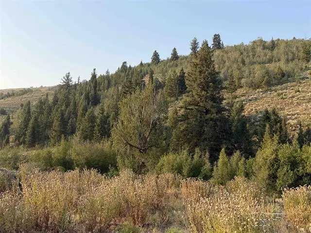 TBD Lot 1 Canyon Creek Road, Bloomington, ID 83223 - #2