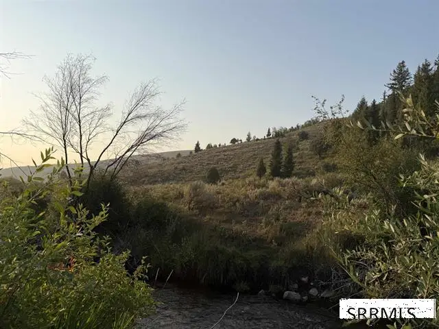 TBD Lot 1 Canyon Creek Road, Bloomington, ID 83223 - #3