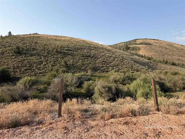 TBD Lot 3 Canyon Creek Road, Bloomington, ID 83223 - #2