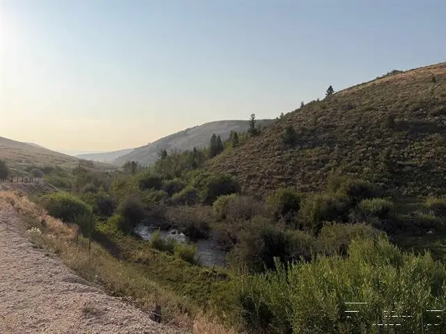 TBD Lot 3 Canyon Creek Road, Bloomington, ID 83223 - #3