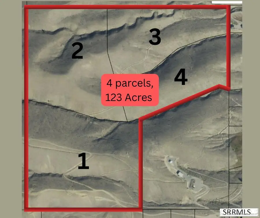 TBD Old Leesburg Road, Salmon, ID 83467 - #2