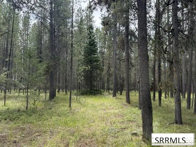 3807 Shoreline Drive, Island Park, ID 83429 - #1