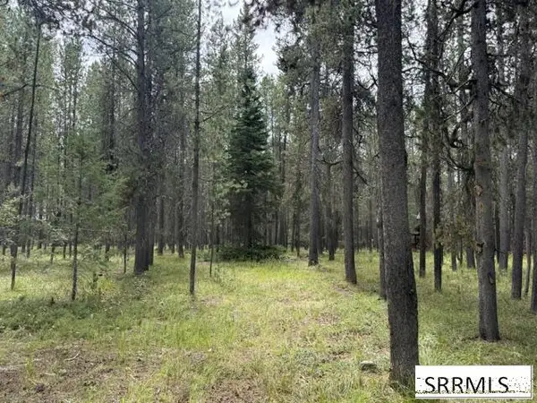 3807 Shoreline Drive, ISLAND PARK, ID 83429