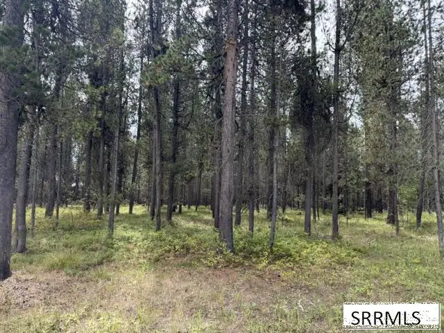 3807 Shoreline Drive, Island Park, ID 83429 - #2