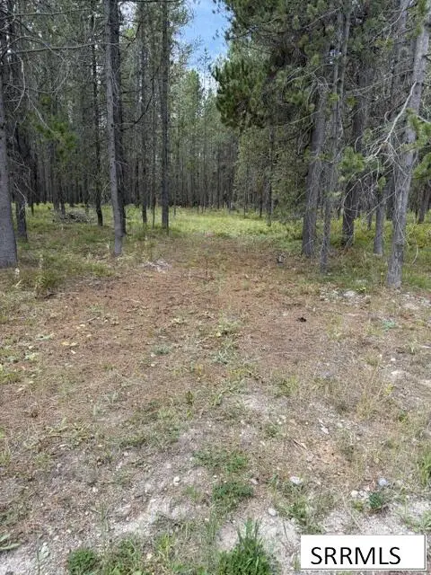 3807 Shoreline Drive, Island Park, ID 83429 - #3