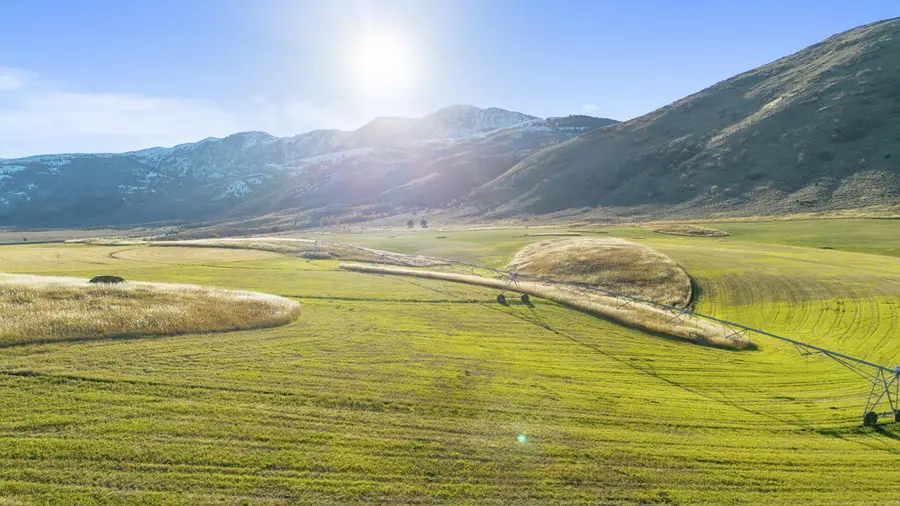 TBD Oxford Loop Road, Swanlake, ID 83281 - #3