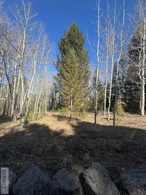 4788 Balsam Street, ISLAND PARK, ID 83429