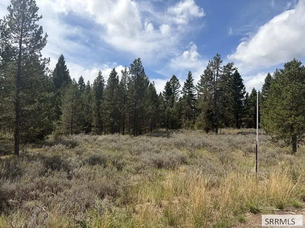 2830 Sagehen Dr, Island Park, ID 83429 - #1