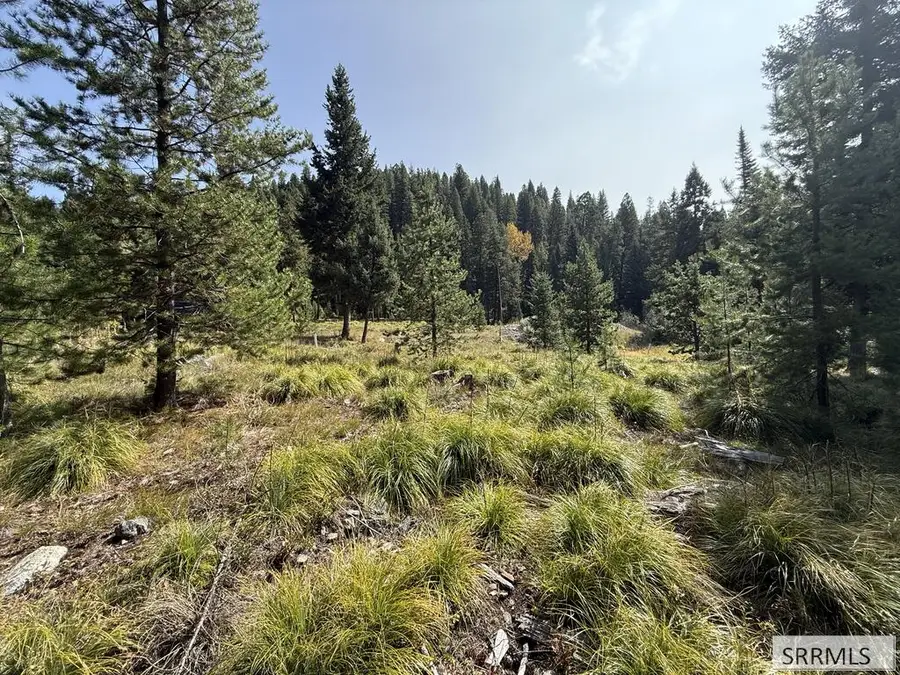 Lot 7 Kokopelli Drive, Gibbonsville, ID 83463 - #3