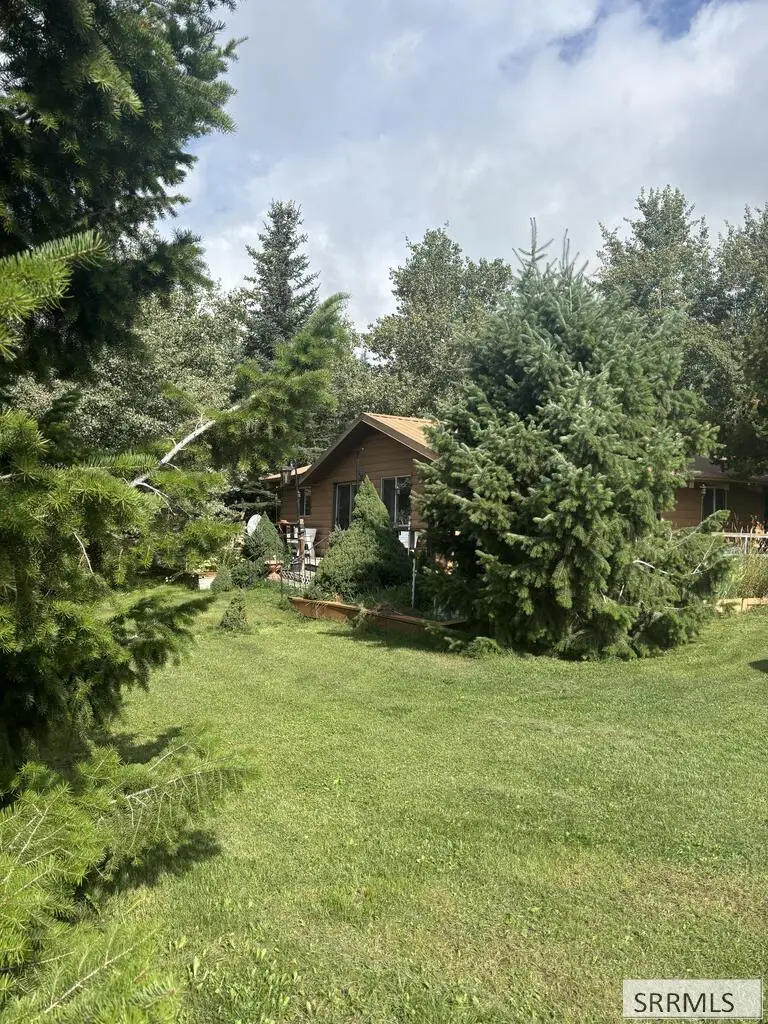 3877 Brookie Lane, Island Park, ID 83429 - #1