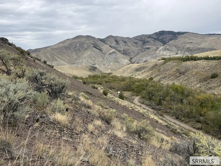 Lot 63&64 Burden Road, Salmon, ID 83467 - #2