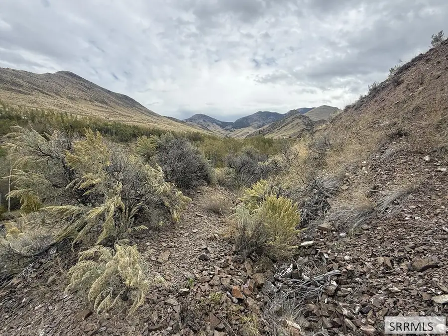 Lot 63&64 Burden Road, Salmon, ID 83467 - #3