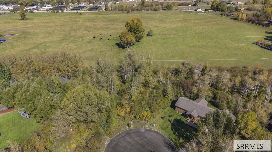 212 Cloudveil Court, Driggs, ID 83422 - #3