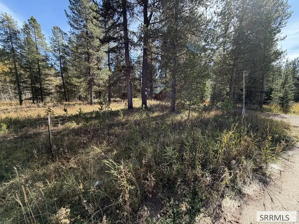 TBD Beaver Drive, Island Park, ID 83429 - #1