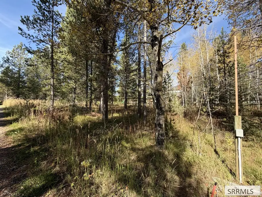 TBD Beaver Drive, Island Park, ID 83429 - #3